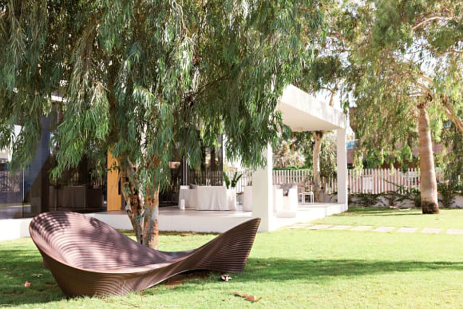 A seat under a shady tree